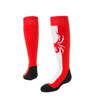 Značky – Spyder Swerve Sock